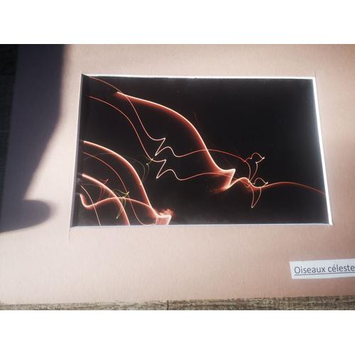 Veritable Photo Artistique 30 Cm X 20 Cm Entourage Cartonne - Auteur Louis Richard - Titre Oiseaux Celestes