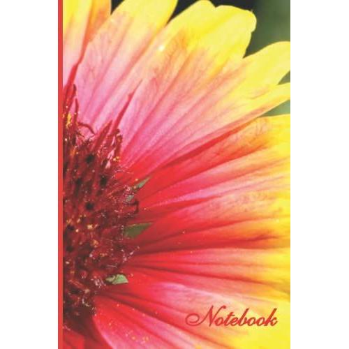 Flower Notebook Journal For Sister: Colorful Simple Single Flowery Notebook For Her, Teen Girls And Women | 150 Pages | 6x9