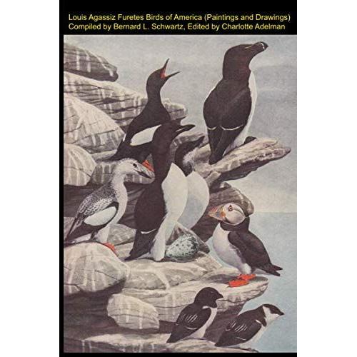 Louis Agassiz Furetes Birds Of America (Paintings And Drawings)