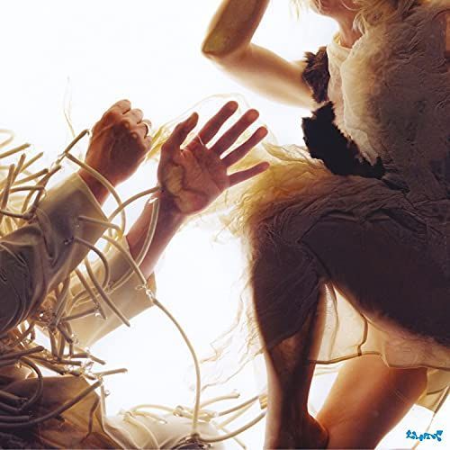 Animal [Cassette]