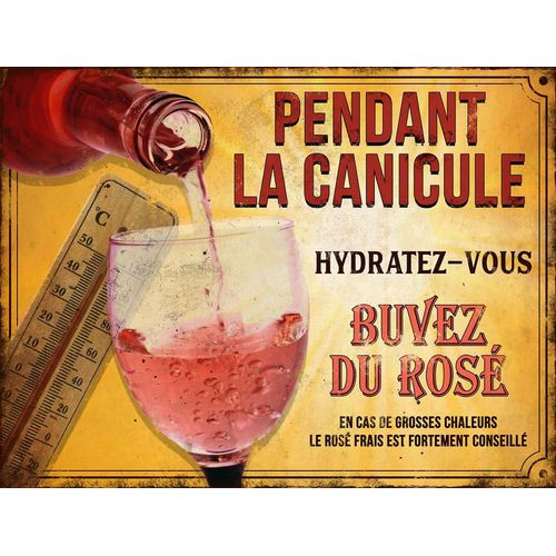 Plaque décorative en métal humour 33 x 25 cm Pendant la canicule...