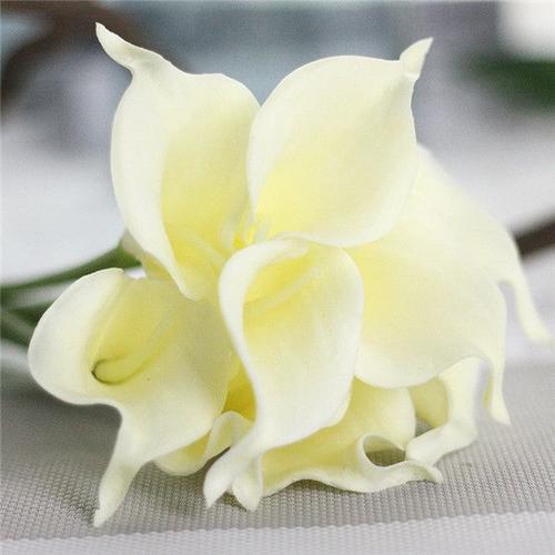Mini Bouquet de lys Calla en soie, 7 pièces, fausses fleurs, pour un mariage, pour une décoration de Table, pour la maison ou le bureau