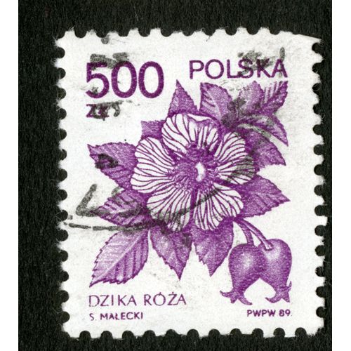 Timbre Oblitéré Polska,Dzika Roza,Malecki,1989,500 Zl