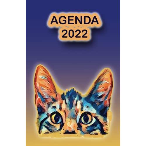 Agenda 2022 Au Quotidien , Agenda Français Scolaire Pour Étudiants De Janvier À Décembre 2022 ,Planificateur Scolaire Journalier Avec Des Pages ... , Ami , Famille ,Femme (French Edition)