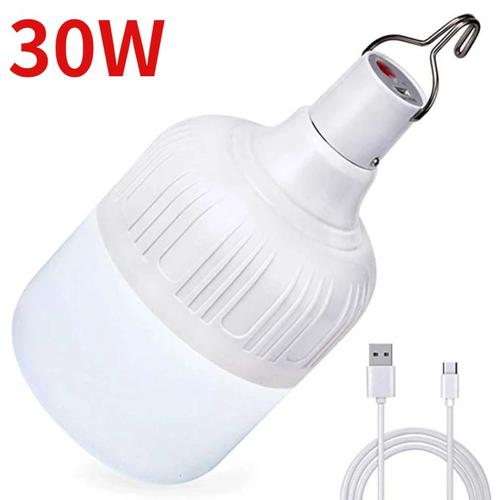 Couleur 30w-Ampoule Lampe De Poche Led D'extérieur Rechargeable Par Usb, Lumière D'urgence, Idéale Pour Un Camping En Famille