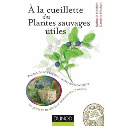 A La Cueillette Des Plantes Sauvages Utiles