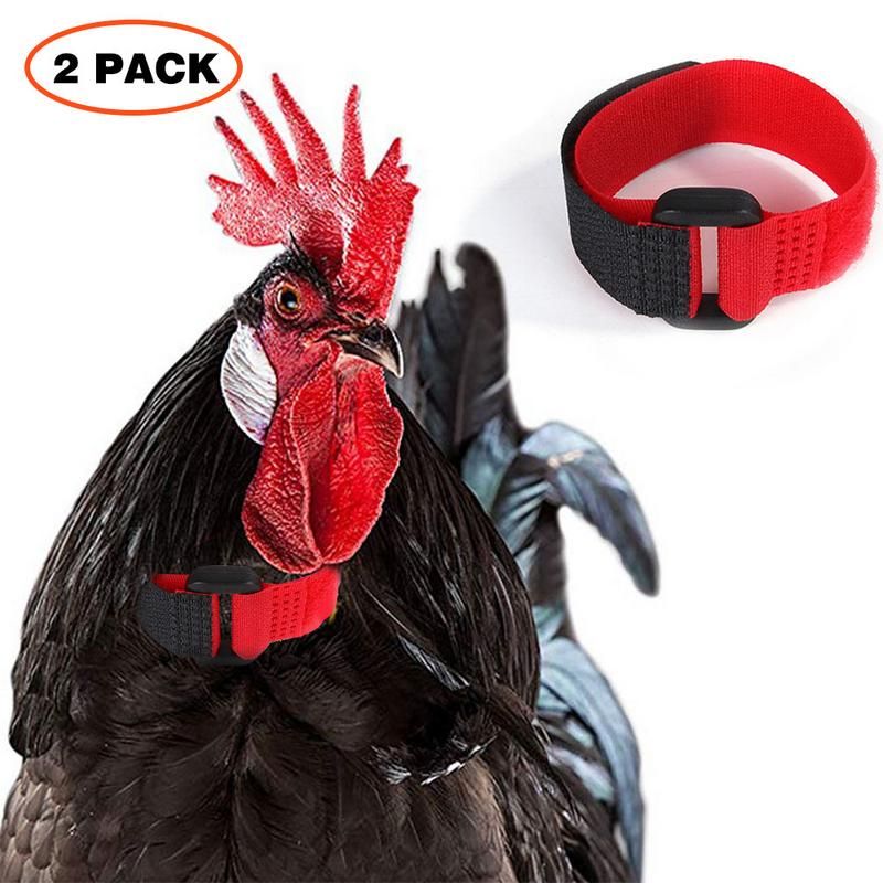 Collier De Poulet En Nylon, Anti-Crochet, Anti-Bruit, Durabl... - 4