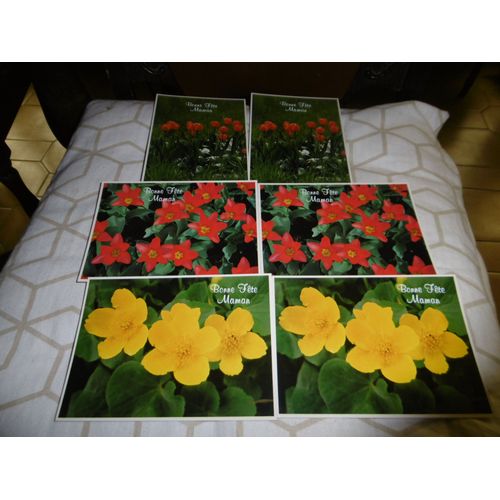 Cartes Postales Simples 10x15cm Bonne Fete Maman Fleurs Serie 6 Lot De 6 La Couronne