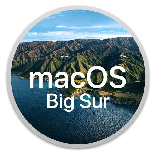 Big Sur 11 Recovery Usb Bootable Macos For Clean Installation