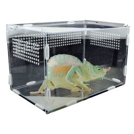 Boîte D'élevage De Reptiles Transparente En Acrylique, Boîte D'alimentation En Forme D'araignée, De Lézard, De Scorpion, D'insecte, Terrarium Respirant