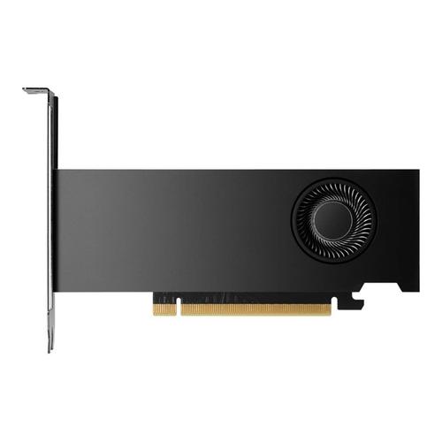 NVIDIA RTX 2000 Ada - Carte graphique - NVIDIA RTX 2000 Ada - 16 Go GDDR6 - 4 x Mini DisplayPort