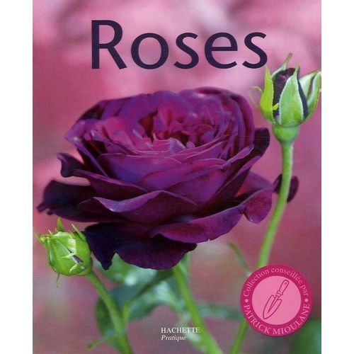 Roses - 100 Variétés De Roses Pour Répondre À Tous Vos Besoins - Les Conseils D'un Spécialiste Pour Bien Choisir Et Entretenir Vos Rosiers
