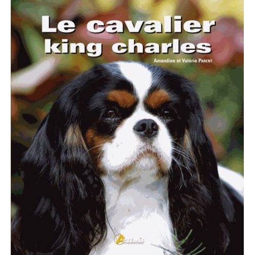 Le Cavalier King Charles