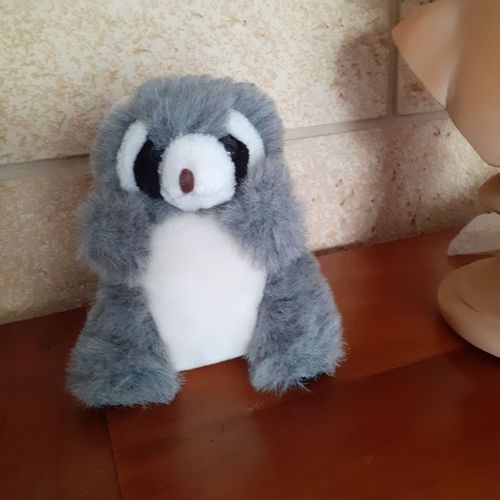 Peluche Raton Laveur *18 Cm