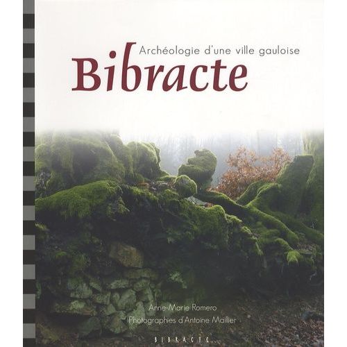Bibracte - Archéologie D'une Ville Gauloise
