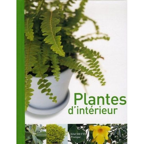 Plantes D'intérieur