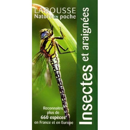 Insectes Et Araignées