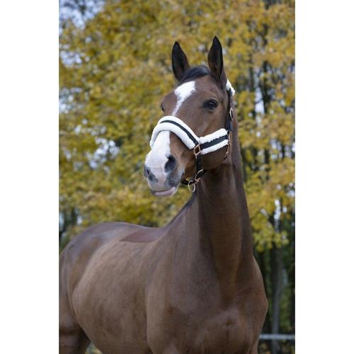 Licol Norton "Confort" - Couleur : Noir, Bouclerie Coloris Or Rose, Taille : Pur-Sang, Equitation, Cheval