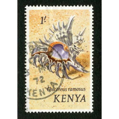 Timbre Oblitéré Kenya, Chicoreus Ramosus, 1