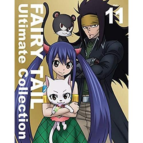 Fairy Tail -Ultimate Collection- Vol.11 [Blu-Ray]