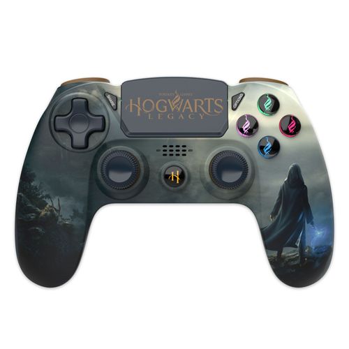 Manette Sans Fil Ps4 Hogwarts Legacy Paysage