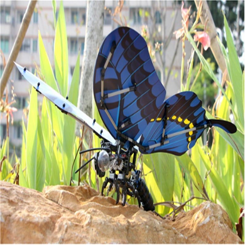 Technologie Serie Insecte Main Queue D'aronde Papillon Enfan... - 3