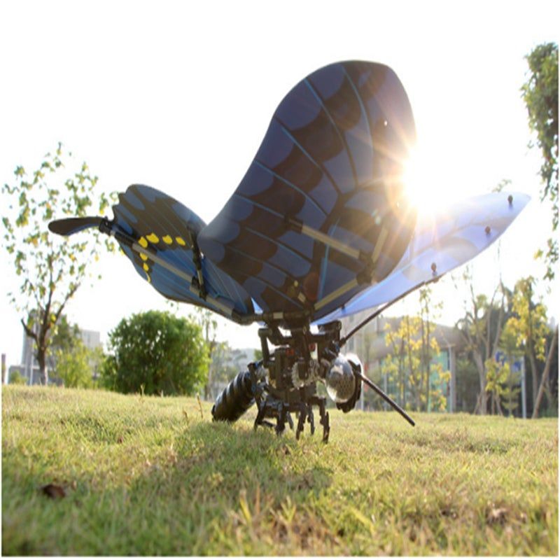 Technologie Serie Insecte Main Queue D'aronde Papillon Enfan... - 4