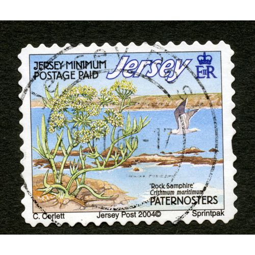 Timbre Oblitéré Jersey, Jersey Minimum Postage Paid, Rock Samphire , Crithmum Maritimum, Peternosters, Corlett, Jersey Post 2004, Sprintpak, Er