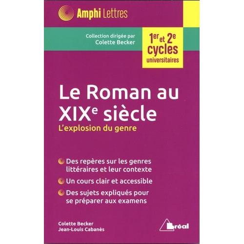 Le Roman Au Xixe Siècle - L'exploration Du Genre
