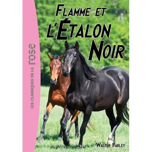 L'etalon Noir Tome 17 - Flamme Et L'étalon Noir