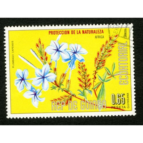 Timbre Oblitéré Rep De Guinea Ecuatorial, Proteccion De La Naturaleza, Africa, Correos, Plumbago Capensis, 0,65 Peseta Guineana