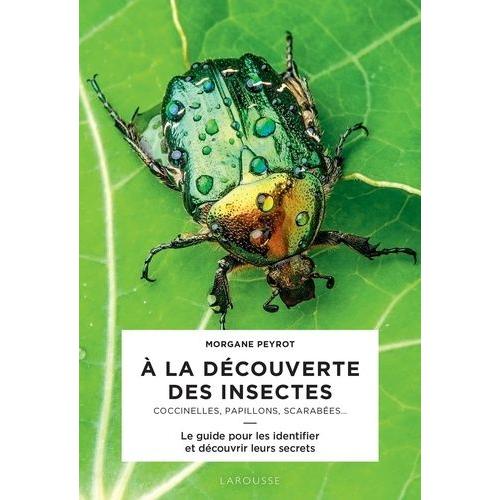 A La Découverte Des Insectes - Coccinelles, Papillons, Scarabées