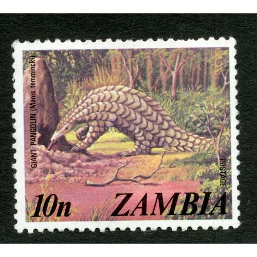 Timbre Oblitéré Zambia, Giant Pangolin , Manis Temmincki, Postage, 10n