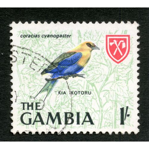 Timbre Oblitéré The Gambia, Kia Kotoru, Coracias Cyanogaster, 1