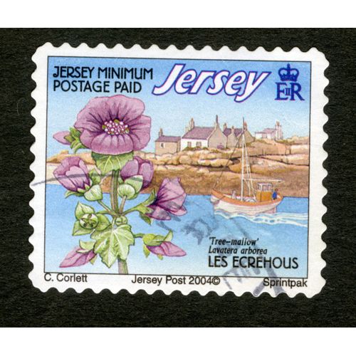 Timbre Oblitéré Jersey, Jersey Minimum Postage Paid, Tree-Mallow, Lavatera Arborea, Les Ecrehous, Corlett, Jersey Post 2004, Sprintpak