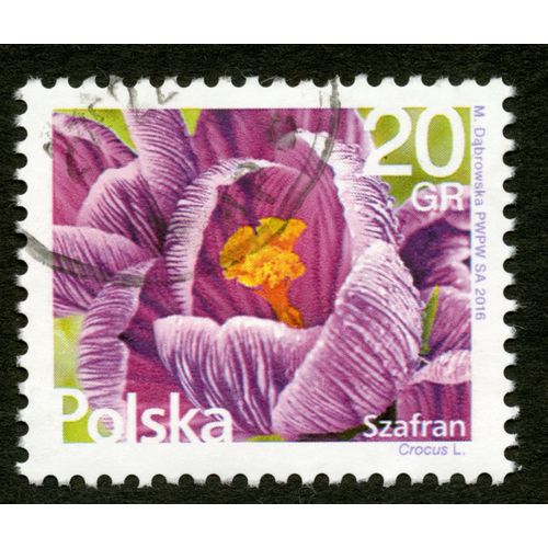 Timbre Oblitéré Polska, Szafran, Crocus L., Dabrowska , 2016, 20 Gr