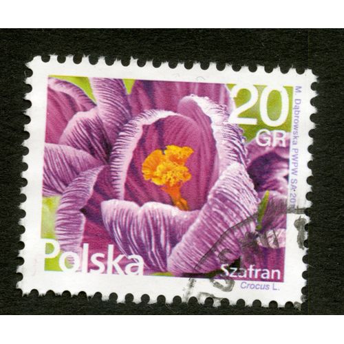 Timbre Oblitéré Polska, Szafran, Crocus L., Dabrowska , 2016, 20 Gr