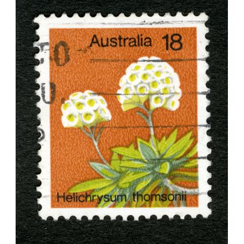 Timbre Oblitéré Australia, Helichrysum Thomsonii, 18