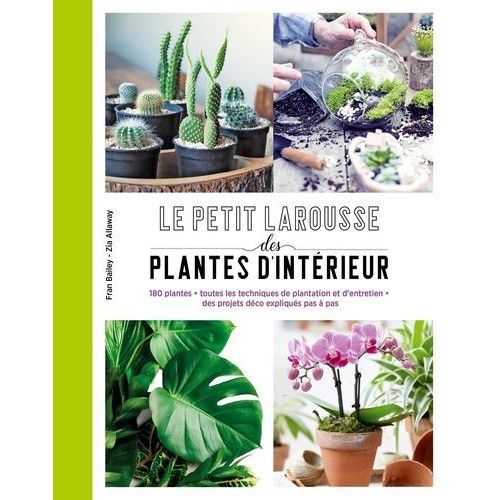 Petit Larousse Des Plantes D'intérieur - 180 Plantes, Toutes Les Techniques De Plantation Et D'entretien, Des Projets Déco Expliqués Pas À Pas