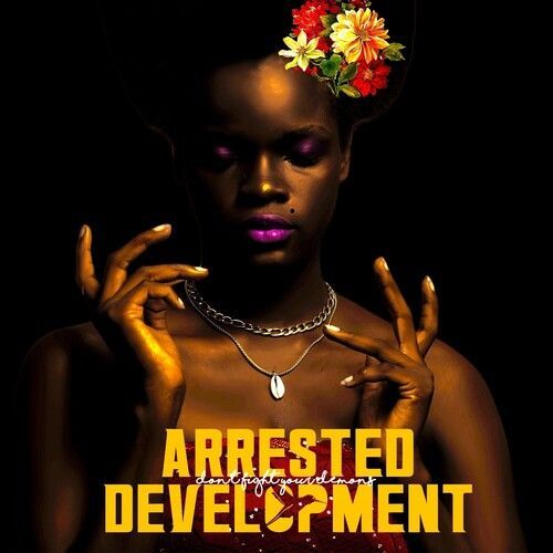 Arrested Development - Don't Fight Your Demons [Vinyl Lp]