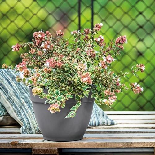 Deroma Pot De Fleurs Ninfea R Anthracite À Réserve D'eau - Coloris Gris Anthracite - 26cm