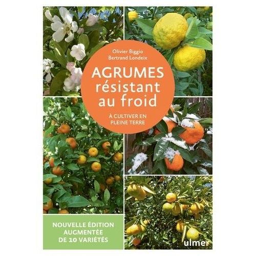 Agrumes Résistant Au Froid - A Cultiver En Pleine Terre