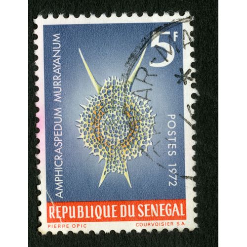 Timbre Oblitéré République Du Sénégal, Amphicraspedum Murrayanum, Postes 1972, 5f, Pierre Opic, Courvoisier
