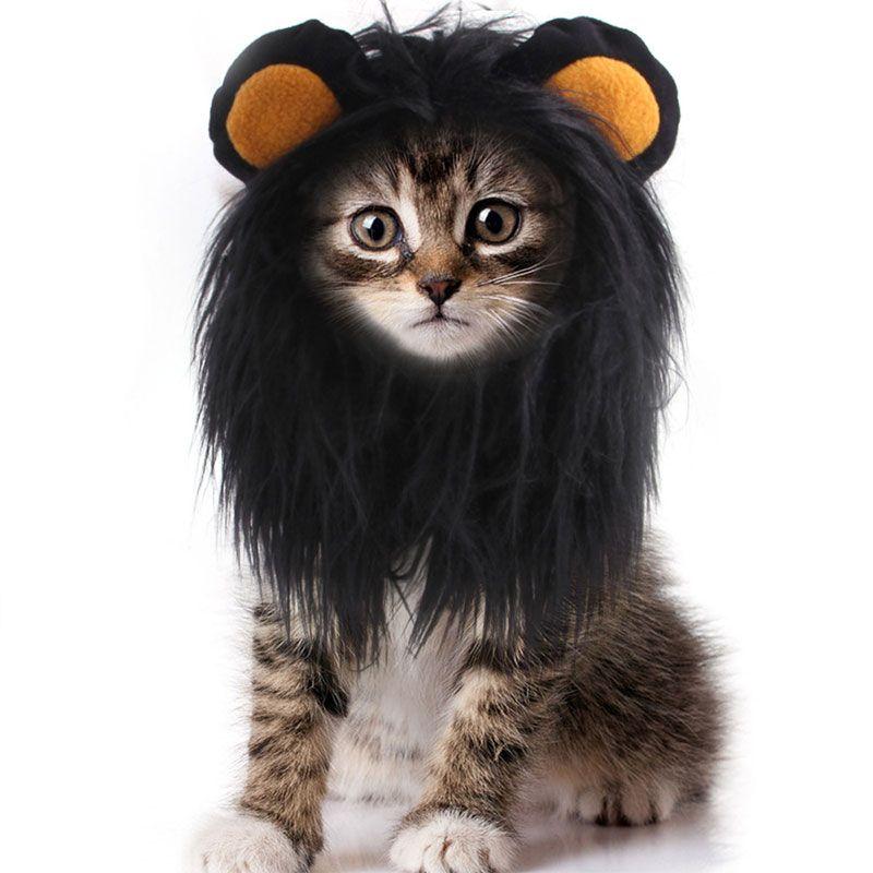 Chapeau Cosplay en forme de Lion pour chat,accessoire de styliste