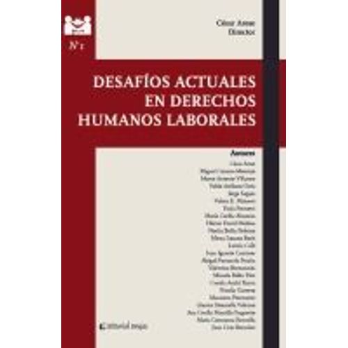 Desafíos Actuales En Derechos Humanos Laborales
