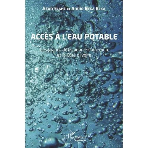 Accès À L'eau Potable - Les Grands Défis Pour Le Cameroun Et La Côte D'ivoire