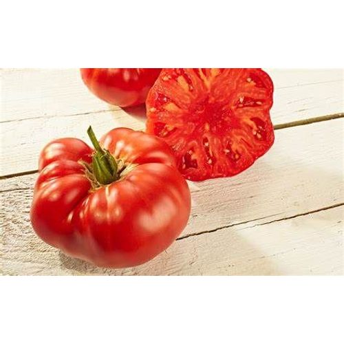 Graine Tomate Buffalosteak