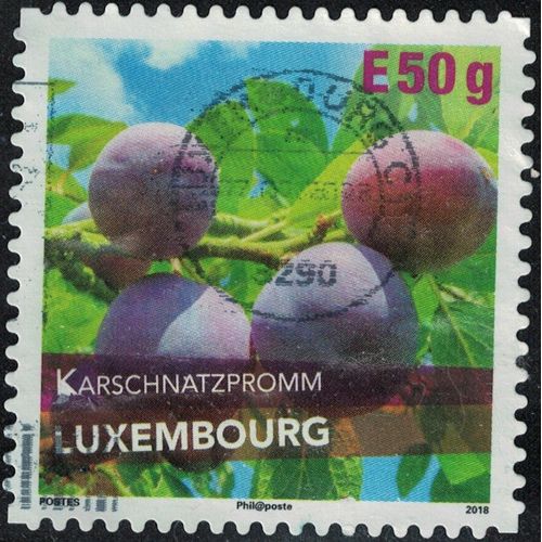 Luxembourg 2018 Oblitéré Used Fruits Karschnatzpromm Variété De Prune Y&t Lu 2131 Su