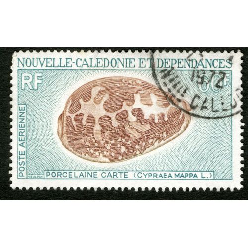 Timbre Oblitéré Nouvelle-Calédonie Et Dépendances, Poste Aérienne, Porcelaine Carte, Cypraea Mappa L, Rf, 60f