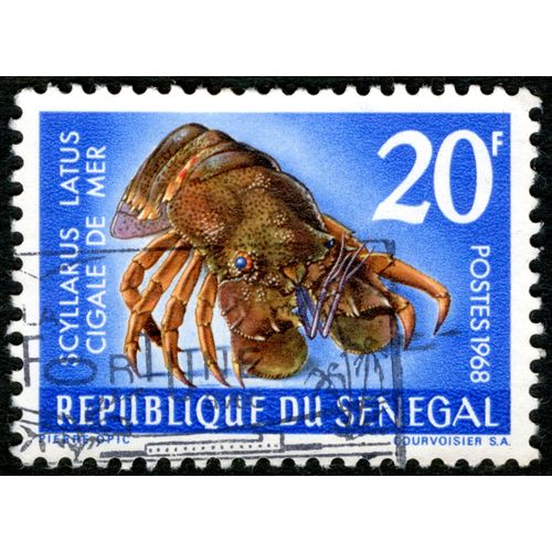 Timbre Oblitéré République Du Sénégal, Scyllarus Latus, Cigale De Mer, 20 F, Postes, 1968